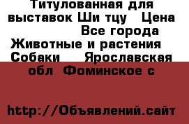 Титулованная для выставок Ши-тцу › Цена ­ 100 000 - Все города Животные и растения » Собаки   . Ярославская обл.,Фоминское с.